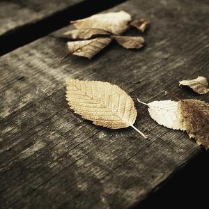 2014av天堂影音先锋
